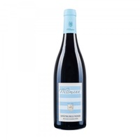 Weingut Wittmann | Spätburgunder