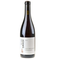 AdamsWein Spätburgunder auf dem Haun