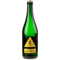 Milan Nestarec Danger 380 Volts Bio