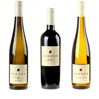 3er-Weinpaket Rebenretter zum vinocentral-Livestream 3 Gläser mit Stefan Sander