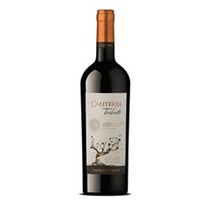 Caliterra Tributo Carmenere