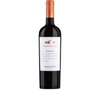 Viña Errázuriz Carmenere Aconcagua Alto
