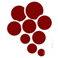 Framingham Sauvignon Blanc