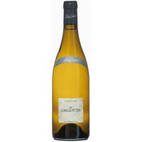 Pascal Jolivet Sancerre Blanc Les Caillottes
