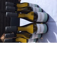 Weingut Raddeck - 6 Flaschen Guts-Sauvignon Blanc trocken