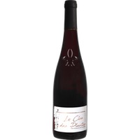 Domaine de la Chaise Touraine Le Clos des Plantes Gamay Rouge