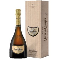Etui 1 flasche Gran Juvé & Camps Gran Reserva Brut Geschenk