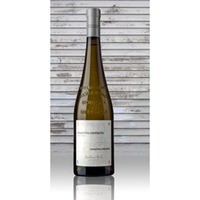Anselmo Mendes - Contacto - Alvarinho