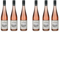 Cistercien Rose Gobelsburg im 6er Paket