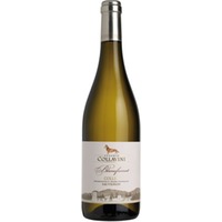 Collavini Blancfumat Sauvignon Collio