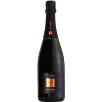 Enrico Gatti Franciacorta Brut Nature DOCG 0,75 ℓ