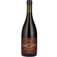 S Block - Saddleback