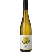 Scheurebe Trocken - Weingut Hofmann