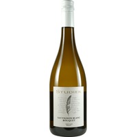 Bouquet Sauvignon Blanc - Weingut Studier