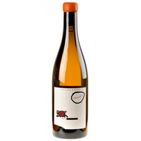 Judith Beck Neuburger Bambule Bio