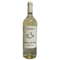 Grotte sul Mare Bianco IGT 11,5% 0,75l - 2023/Carminucci