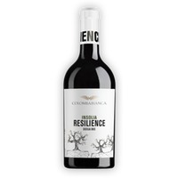 Resilience Insolia Sicilia DOC 0,75l 13% - | Colomba Bianca