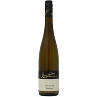 Riesling Auslese vom Sandstein lieblich Bio - Wein- und Sektgut Bergkeller
