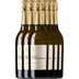 6er Vorteilspaket - Pinot Chardonnay Brut - Ponte 