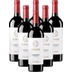 Logos Rotwein Probierpaket Escudero aus 6er Angebot 