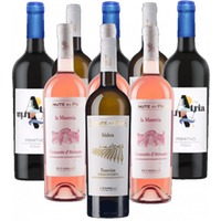 Di Camillo Vini Probierpaket Weine aus 9er Angebot