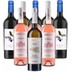 Di Camillo Vini Probierpaket Weine aus 9er Angebot 