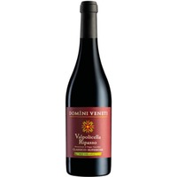 Domini Veneti Biologico Valpolicella Ripasso Classico Superiore DOC 0,75 ℓ