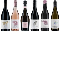 Verkostungspaket Pia Strehn