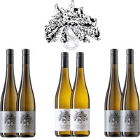 Neue Spitzenweine aus Senftenberg im Kremstal