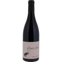 Pinot Noix Ardoise Spätburgunder Q.b.A. trocken - 6er OHK