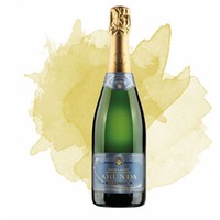 Spumante Perpetuum  (Arunda Sektkellerei/Vivaldi)