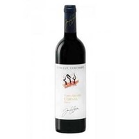 Cornas Terres Brûlées