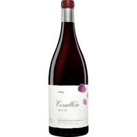 Palacios Bierzo »Villa de Corullón« - 3,0 L. Spanien Rotwein Trocken