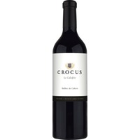Crocus »Le Calcifère« Malbec