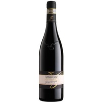 Amarone Classico - Campagnola