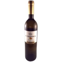 Coloma Muscat