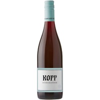 Kopp - Spätburgunder