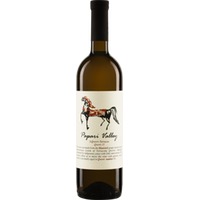 Rkatsiteli 3 QVEVRI TERRACES White Papari Valley Biowein