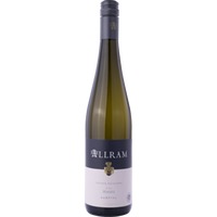 Grüner Veltliner Ried Hasel 2024- Weingut Allram