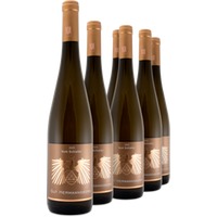 Vom Schiefer Niederhäuser Riesling trocken