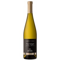 Südtiroler Eisacktaler Pinot Grigio "Aristos" DOC