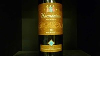 Firriato Harmonium Nero d Avola