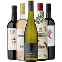 Ludwig’s Weinprobe »Einstieg in die Weinwelt«