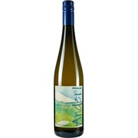 Grüner Veltliner Kamptal Reserve DAC - Weinhof Anderl