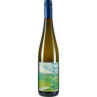 Grüner Veltliner Wechselberg Kamptal DAC - Weinhof Anderl