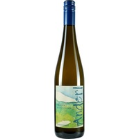Grauer Burgunder - Weinhof Anderl