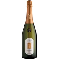 Adami Dei Casel Valdobbiadene Prosecco Superiore DOCG Extra Dry 0,75 ℓ