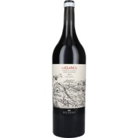 Colledilà Chianti Classico Gran Selezione Magnum