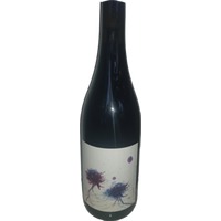 Silvia Puig Garnatxa-peluda DOQ Priorat - - Katalonien, Spanien