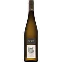 Grüner Veltliner Ried Offenberg 1ÖTW - Johann Topf